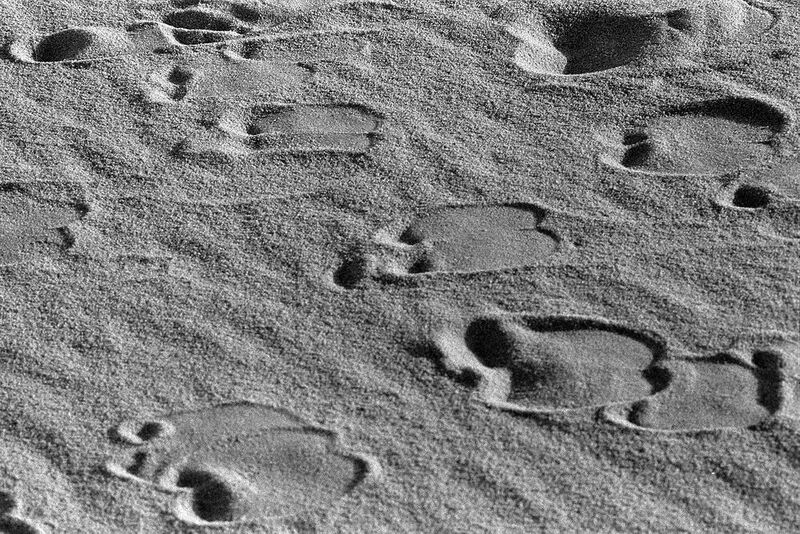 Ohne Titel